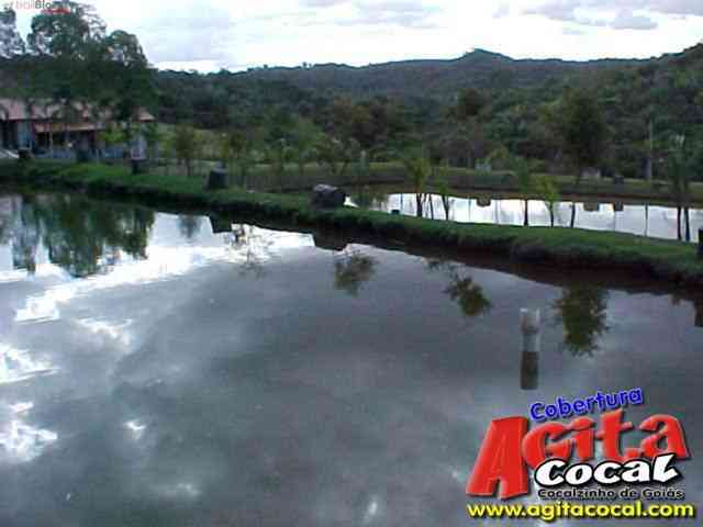 Cocalzinho de Goi�s