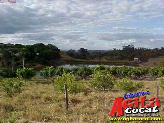 Cocalzinho de Goi�s