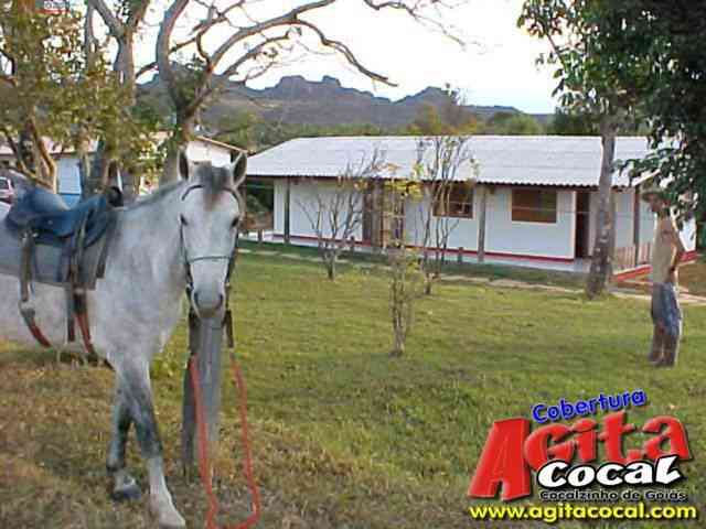 Cocalzinho de Goi�s