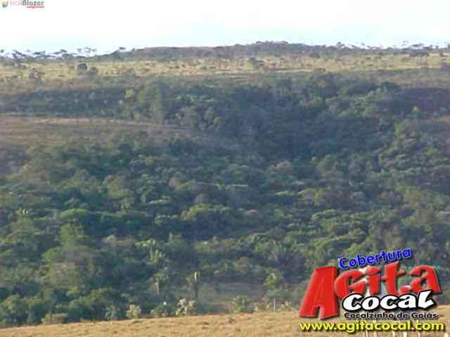 Cocalzinho de Goi�s