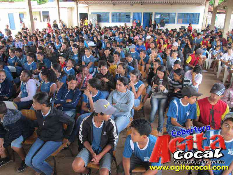 Escola Municipal Alto da Boa Vista (Girassol)