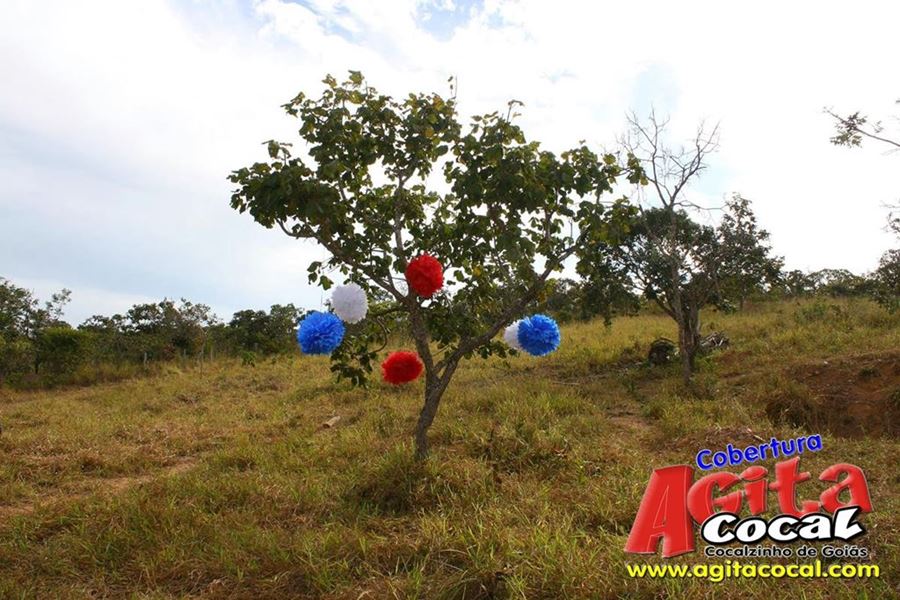 Pouso de Folia - Arnaldo Alves