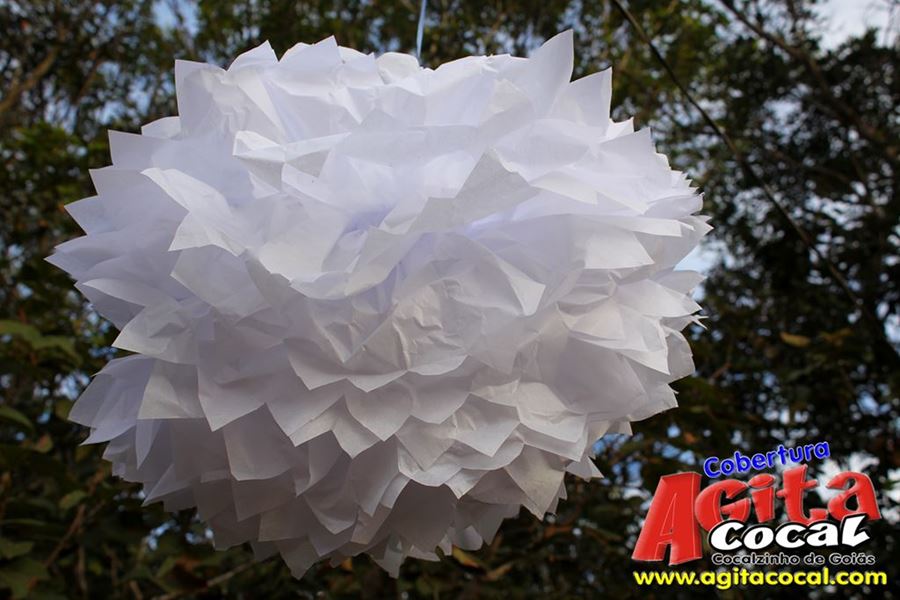 Pouso de Folia - Arnaldo Alves