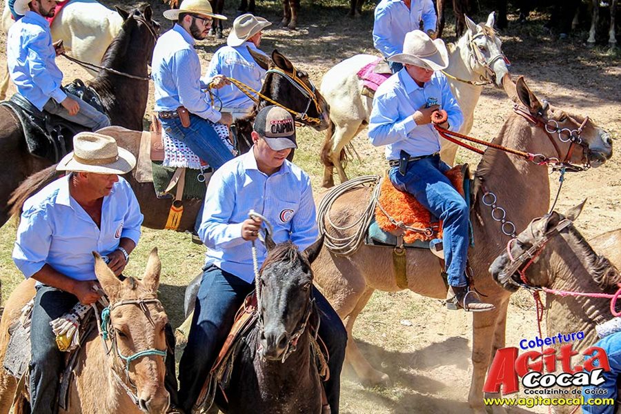 Festa da Pamonha 2017 (Album 1/2)