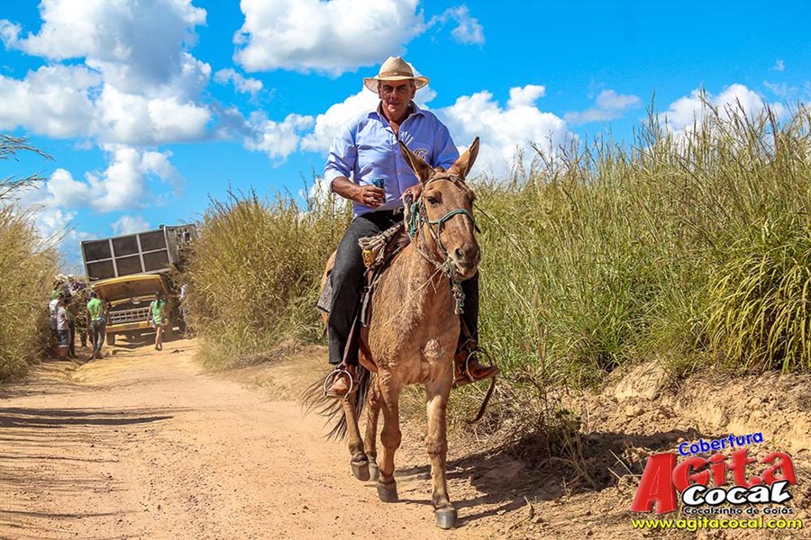 Festa da Pamonha 2017 (Album 1/2)