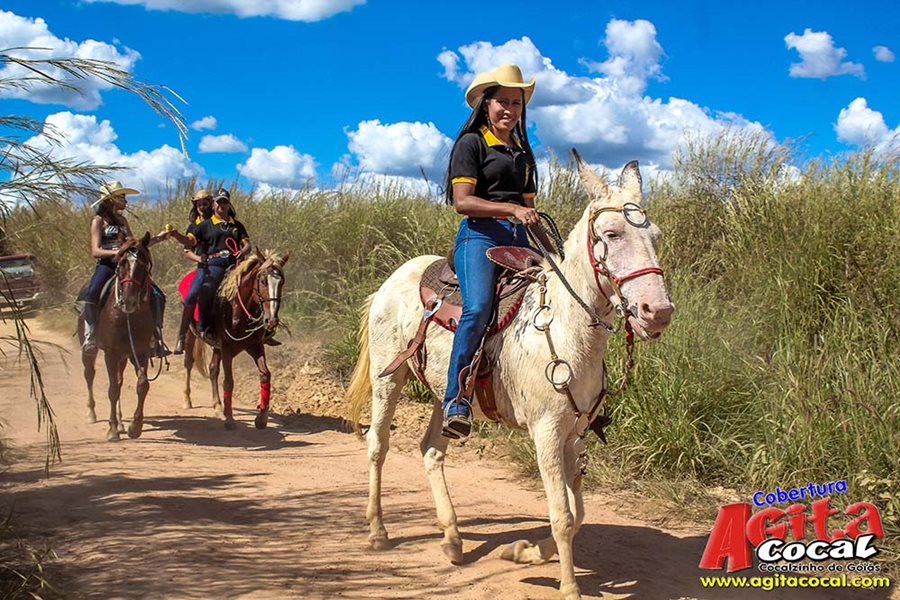 Festa da Pamonha 2017 (Album 1/2)