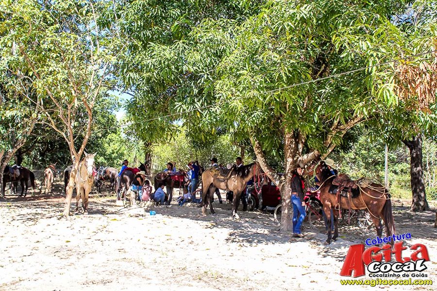 Festa da Pamonha 2017 (Album 1/2)