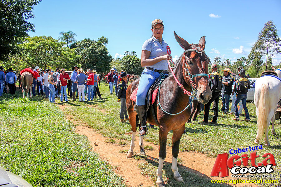 (Album 1/3) 2� Encontro de Cavaleiros Comitiva Cavalo Branco e 1� Encontro Comitiva Espora de Prata 2018