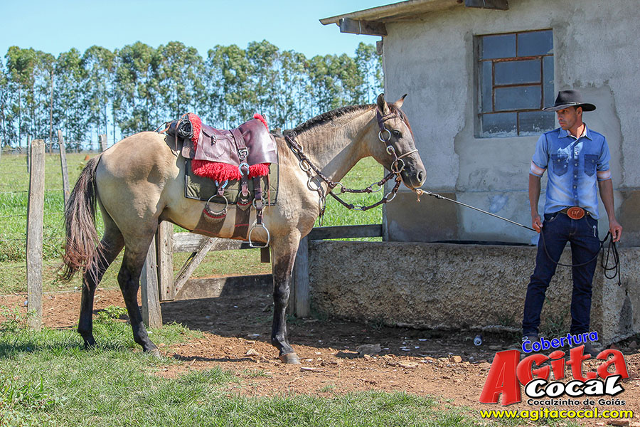 (Album 1/3) 2� Encontro de Cavaleiros Comitiva Cavalo Branco e 1� Encontro Comitiva Espora de Prata 2018