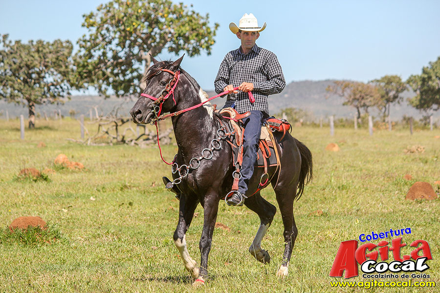 (Album 2/3) 2� Encontro de Cavaleiros Comitiva Cavalo Branco e 1� Encontro Comitiva Espora de Prata 2018