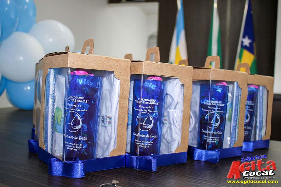 1� Semin�rio "Ber�o das �guas"