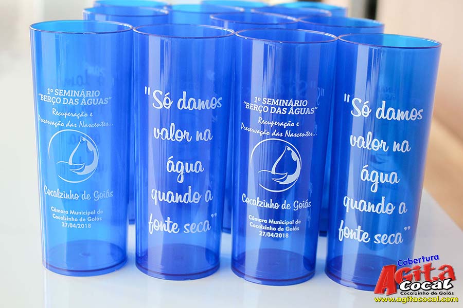 1� Semin�rio "Ber�o das �guas"