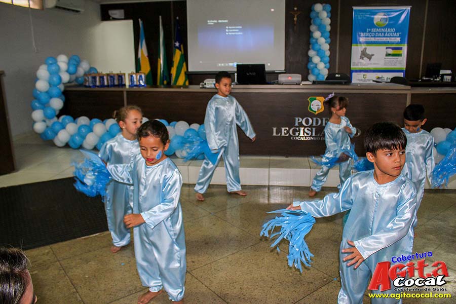 1� Semin�rio "Ber�o das �guas"