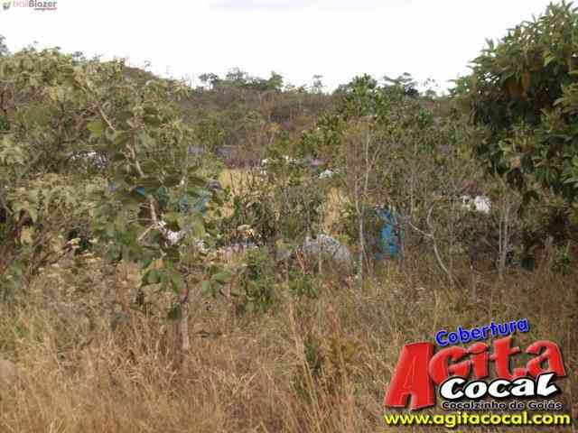 Festa - Morro Pireneus