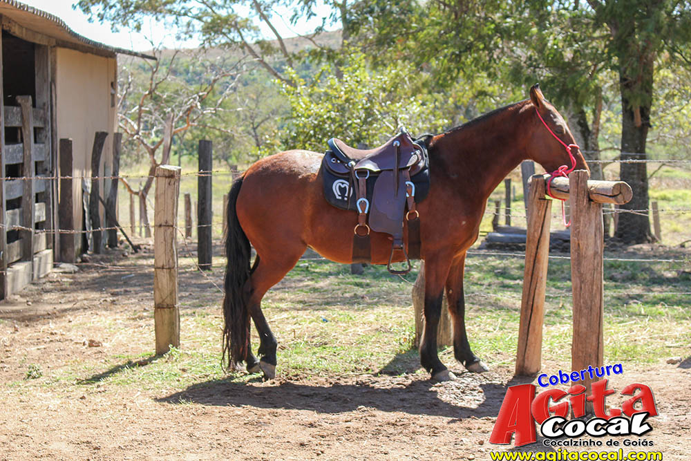 (III Cavalgada - Concentra��o)