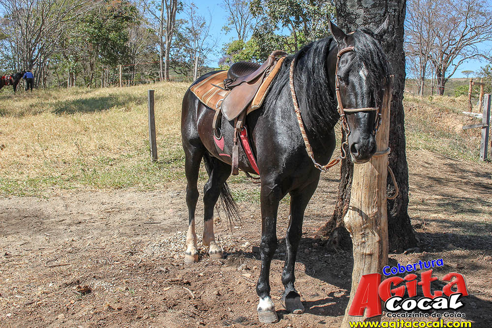 (III Cavalgada - Concentra��o)