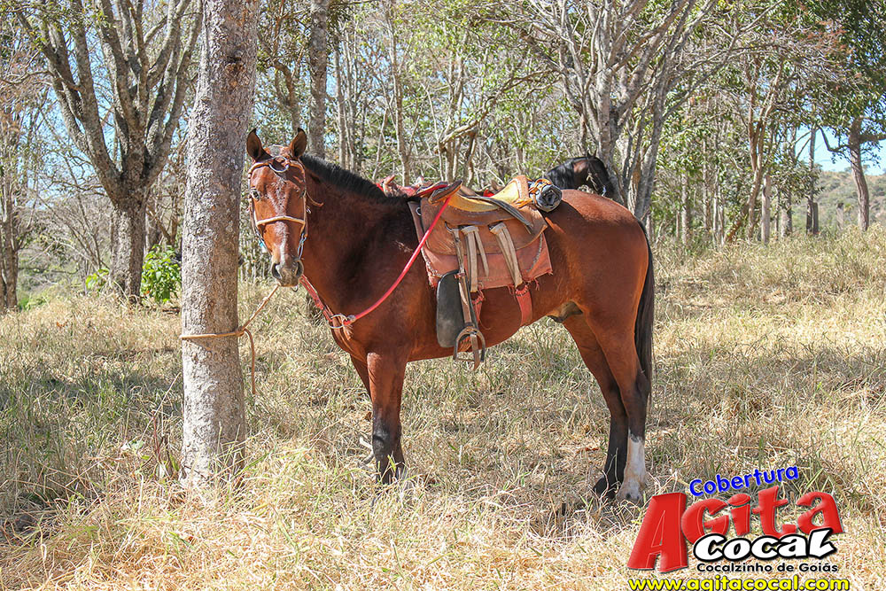 (III Cavalgada - Concentra��o)