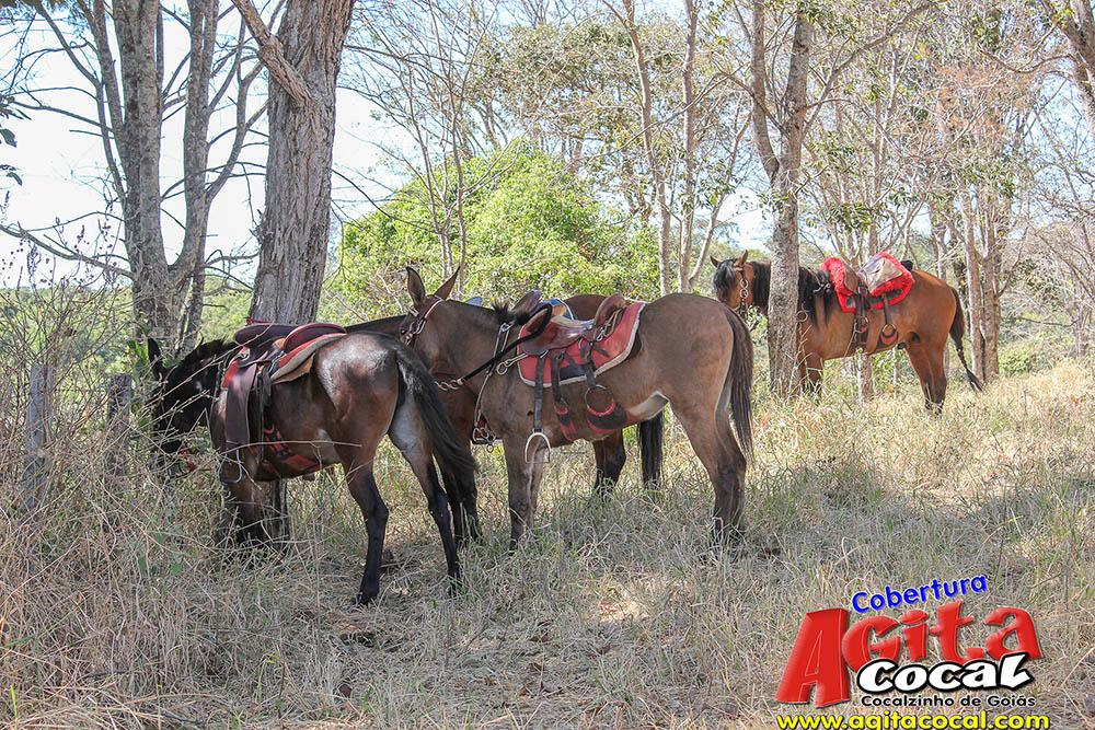 (III Cavalgada - Concentra��o)