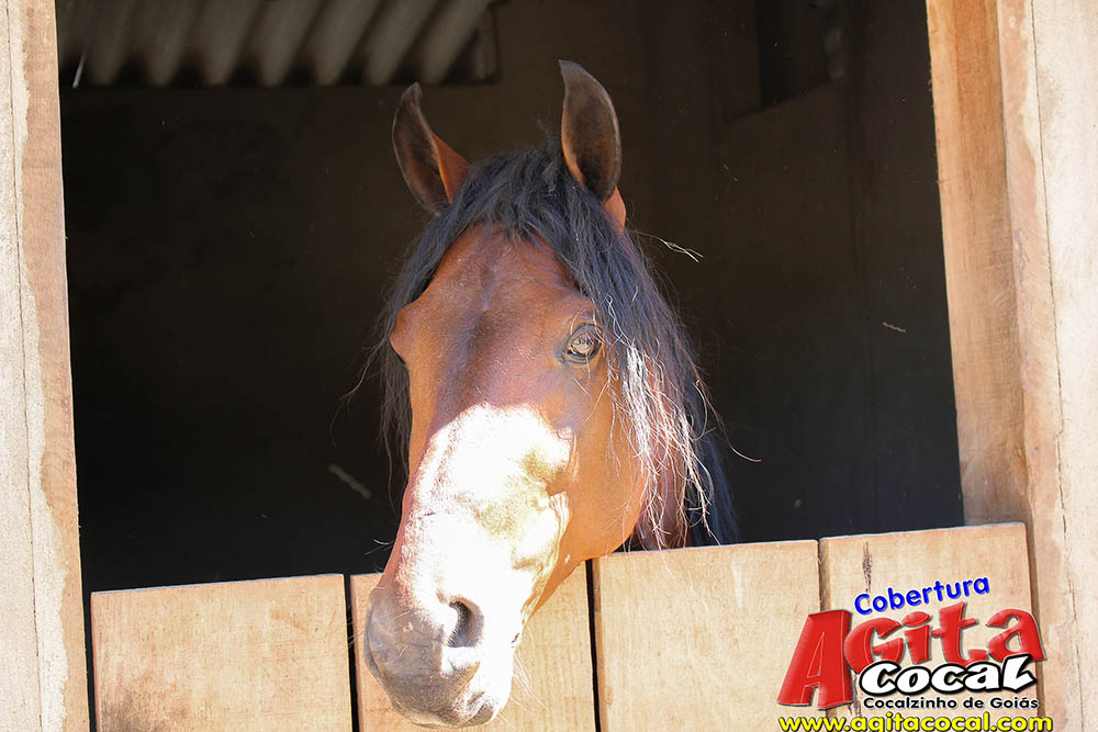 (III Cavalgada - Concentra��o)