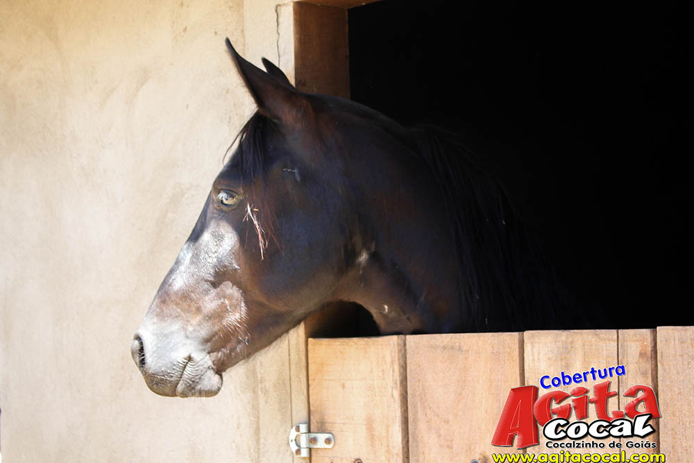 (III Cavalgada - Concentra��o)