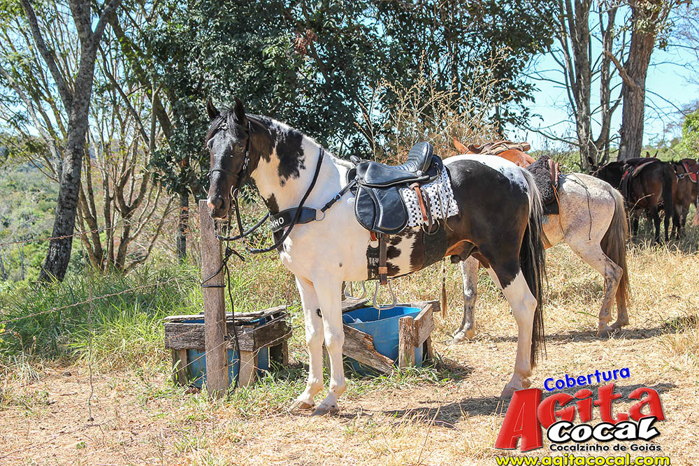 (III Cavalgada - Concentra��o)