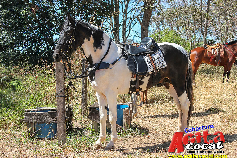 (III Cavalgada - Concentra��o)