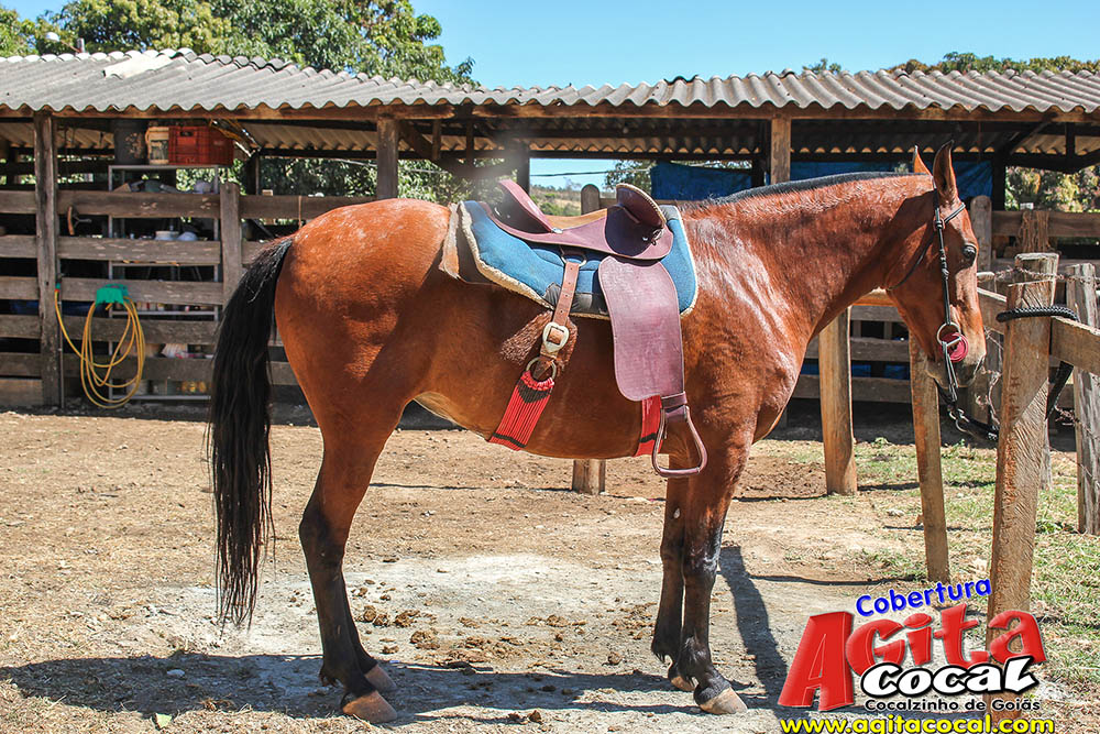 (III Cavalgada - Concentra��o)