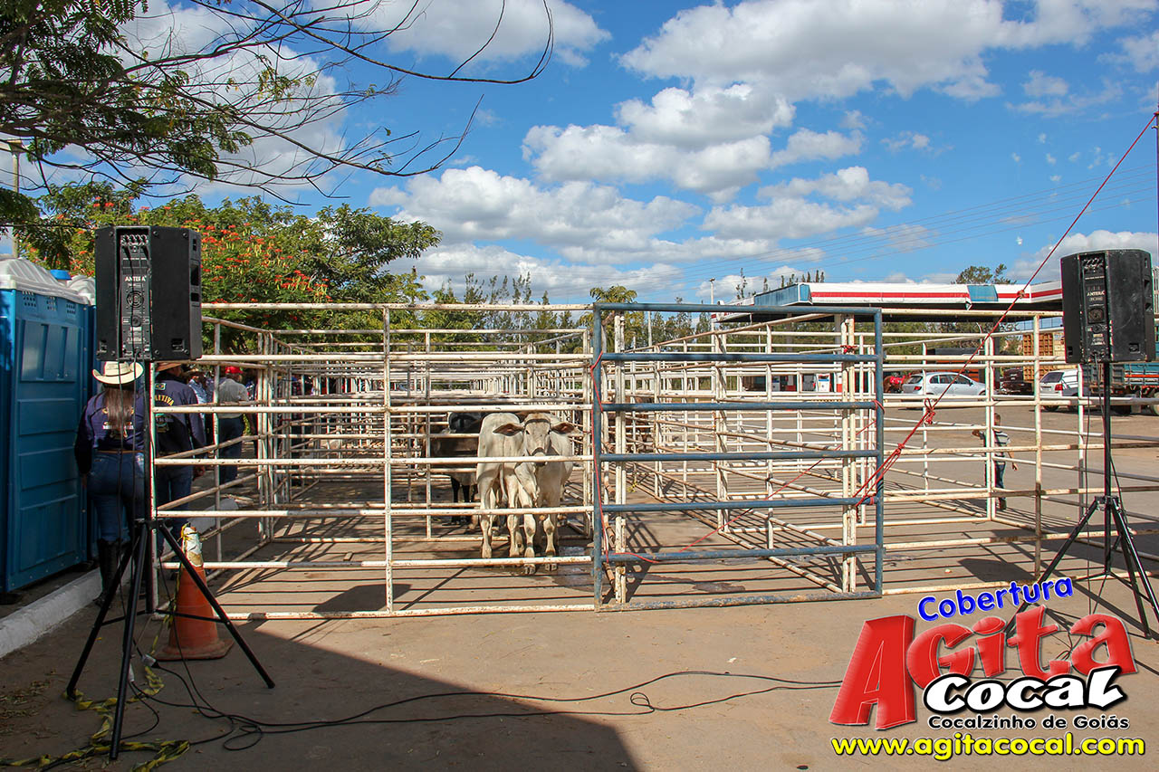 Almo�o e Leil�o de Animais - Festa de Santo Ant�nio (8� Dia)