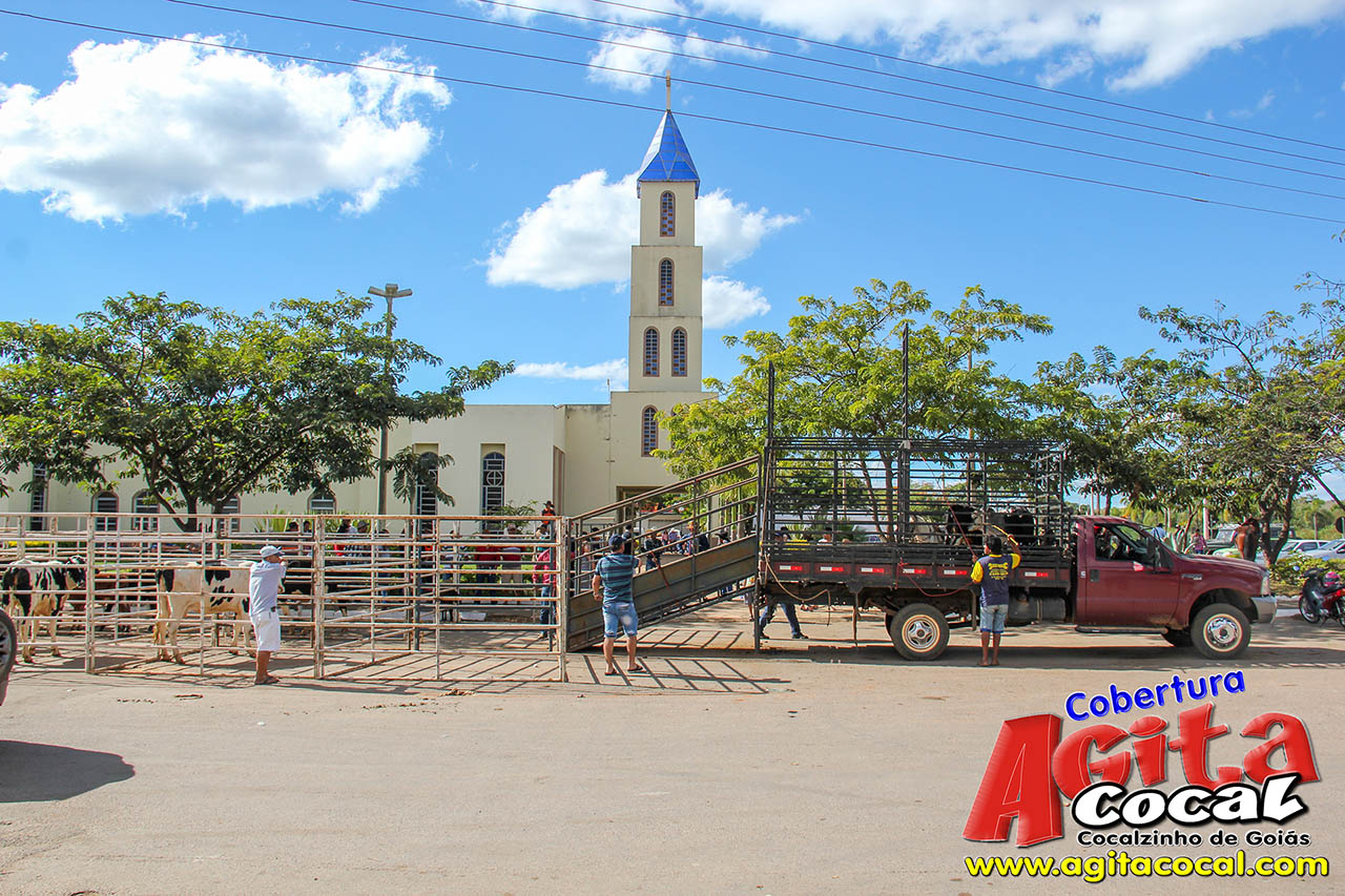 Almo�o e Leil�o de Animais - Festa de Santo Ant�nio (8� Dia)