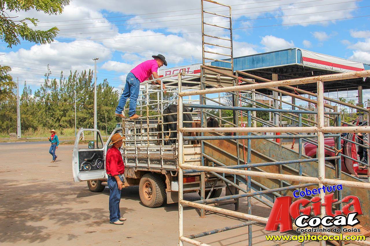 Almo�o e Leil�o de Animais - Festa de Santo Ant�nio (8� Dia)