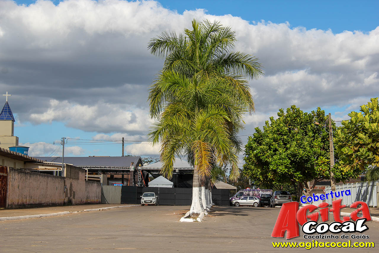 Almo�o e Leil�o de Animais - Festa de Santo Ant�nio (8� Dia)