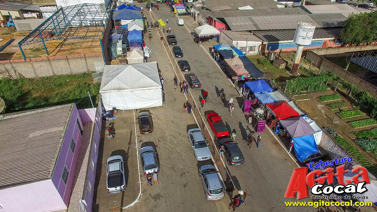 Almo�o e Leil�o de Animais - Festa de Santo Ant�nio (8� Dia)