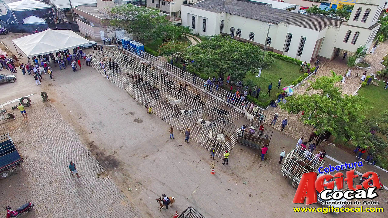 Almo�o e Leil�o de Animais - Festa de Santo Ant�nio (8� Dia)