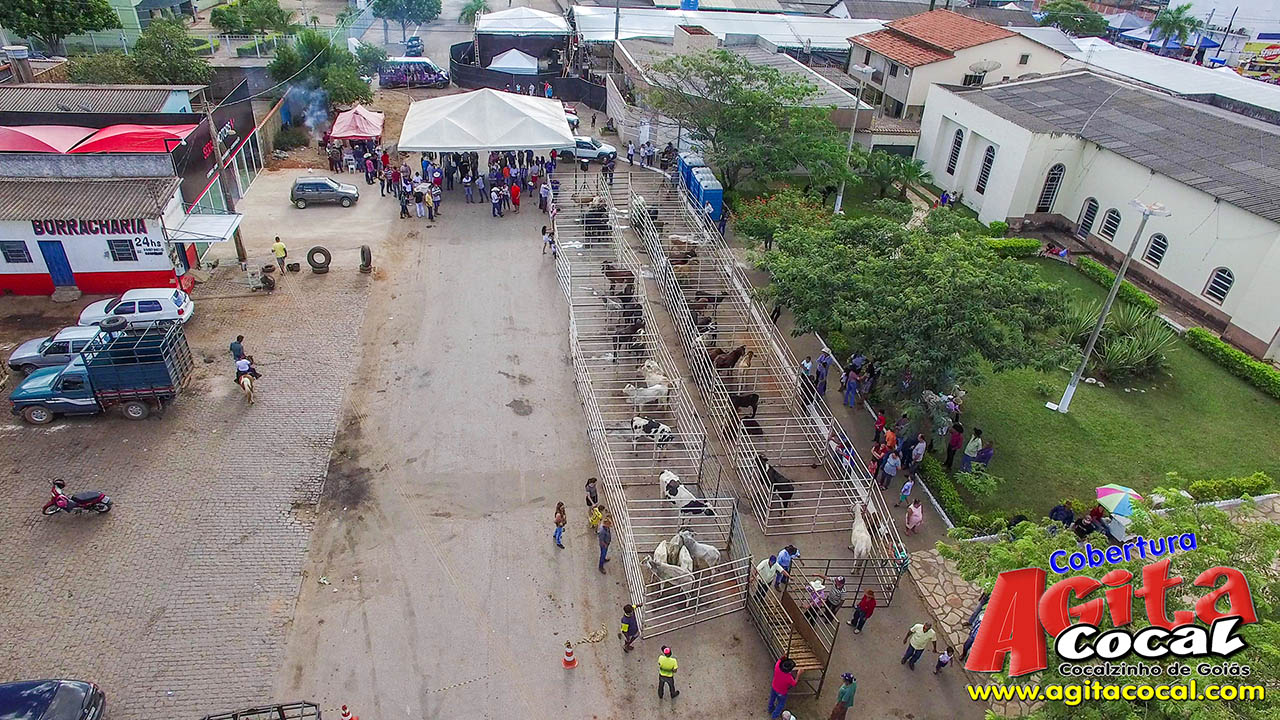 Almo�o e Leil�o de Animais - Festa de Santo Ant�nio (8� Dia)