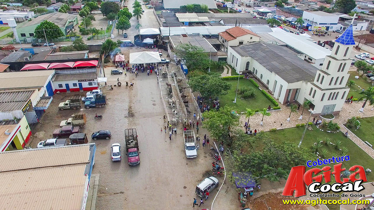 Almo�o e Leil�o de Animais - Festa de Santo Ant�nio (8� Dia)