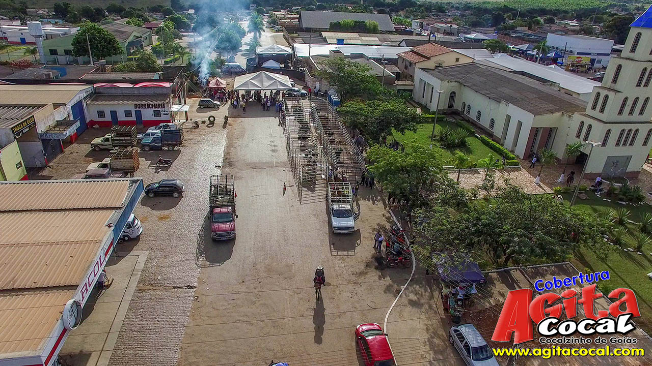 Almo�o e Leil�o de Animais - Festa de Santo Ant�nio (8� Dia)