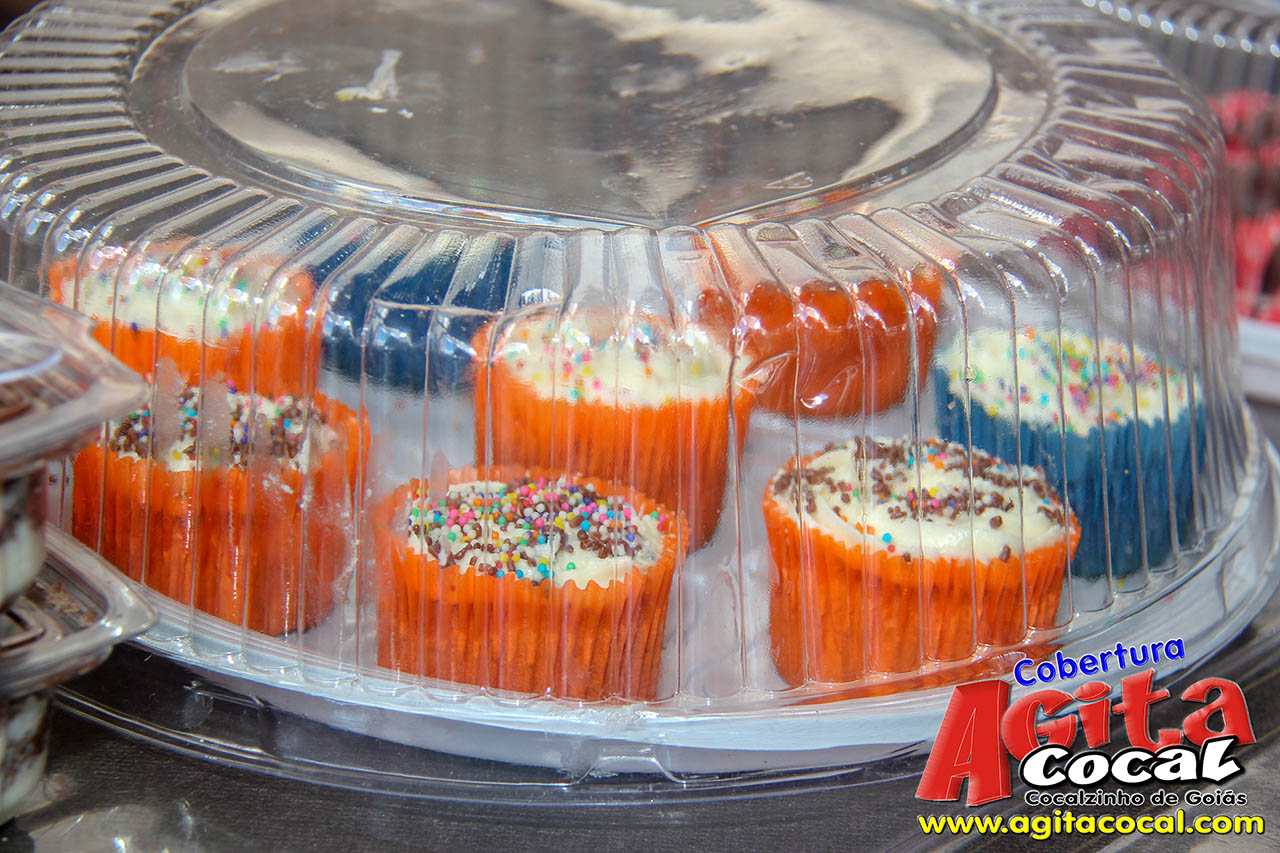 Almo�o e Leil�o de Animais - Festa de Santo Ant�nio (8� Dia)