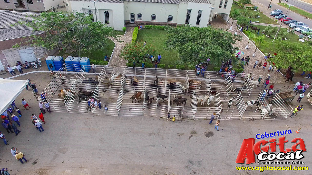 Almo�o e Leil�o de Animais - Festa de Santo Ant�nio (8� Dia)