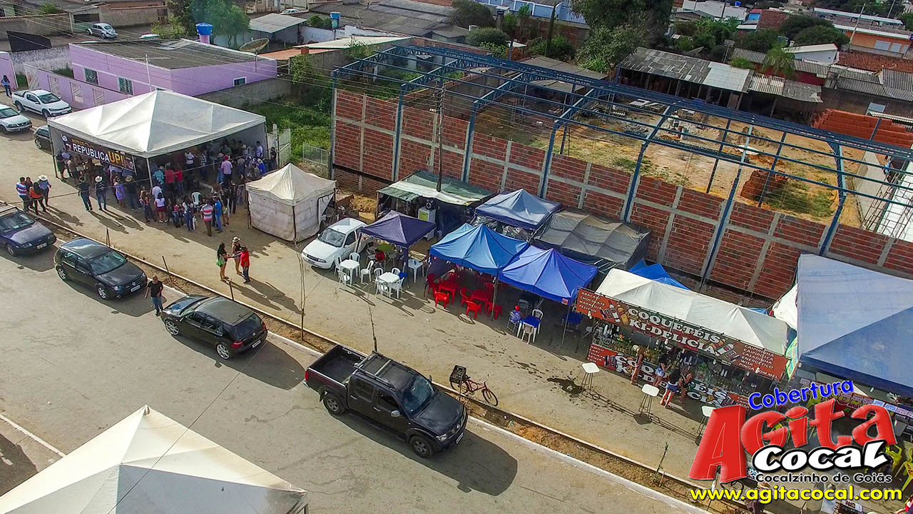 Almo�o e Leil�o de Animais - Festa de Santo Ant�nio (8� Dia)