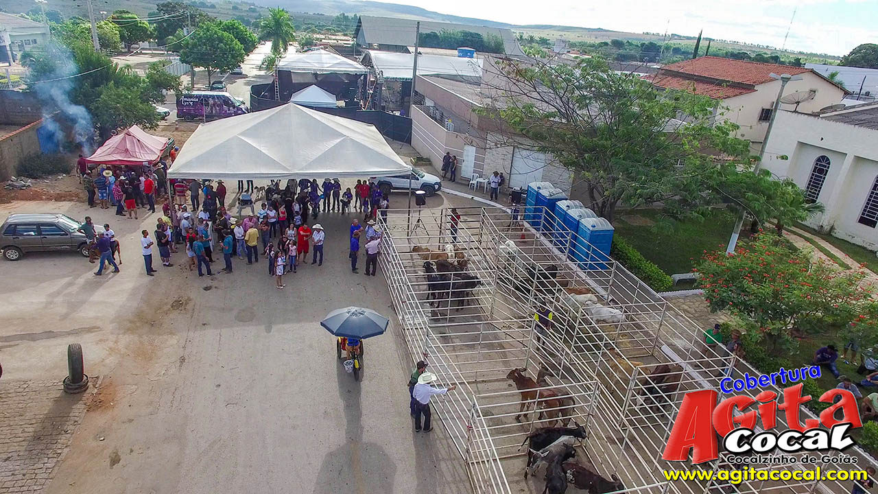 Almo�o e Leil�o de Animais - Festa de Santo Ant�nio (8� Dia)