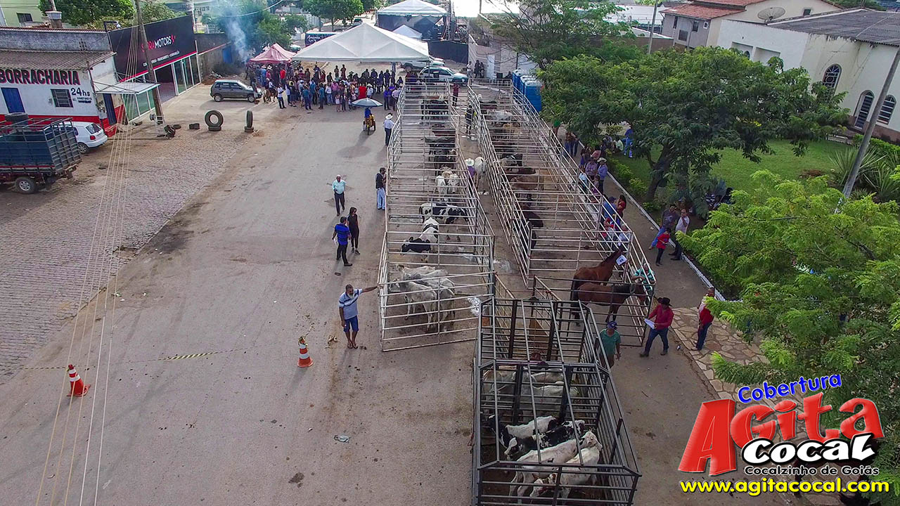 Almo�o e Leil�o de Animais - Festa de Santo Ant�nio (8� Dia)