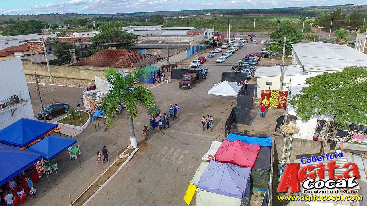 Almo�o e Leil�o de Animais - Festa de Santo Ant�nio (8� Dia)