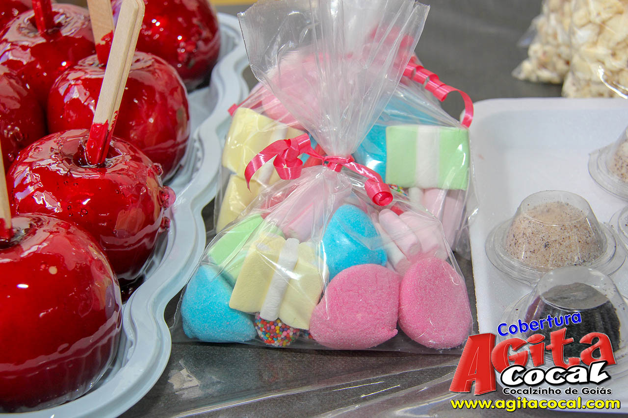 Almo�o e Leil�o de Animais - Festa de Santo Ant�nio (8� Dia)