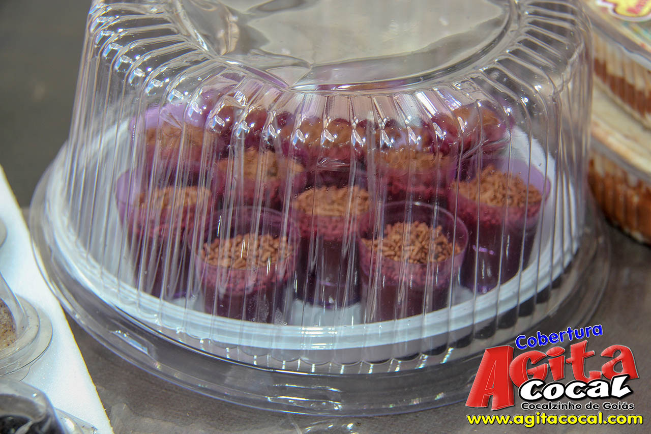 Almo�o e Leil�o de Animais - Festa de Santo Ant�nio (8� Dia)