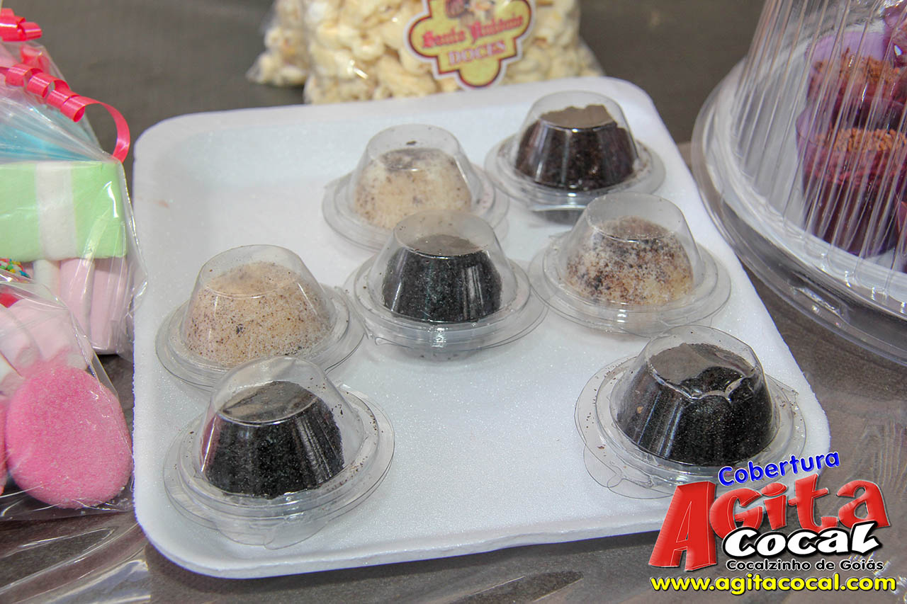 Almo�o e Leil�o de Animais - Festa de Santo Ant�nio (8� Dia)