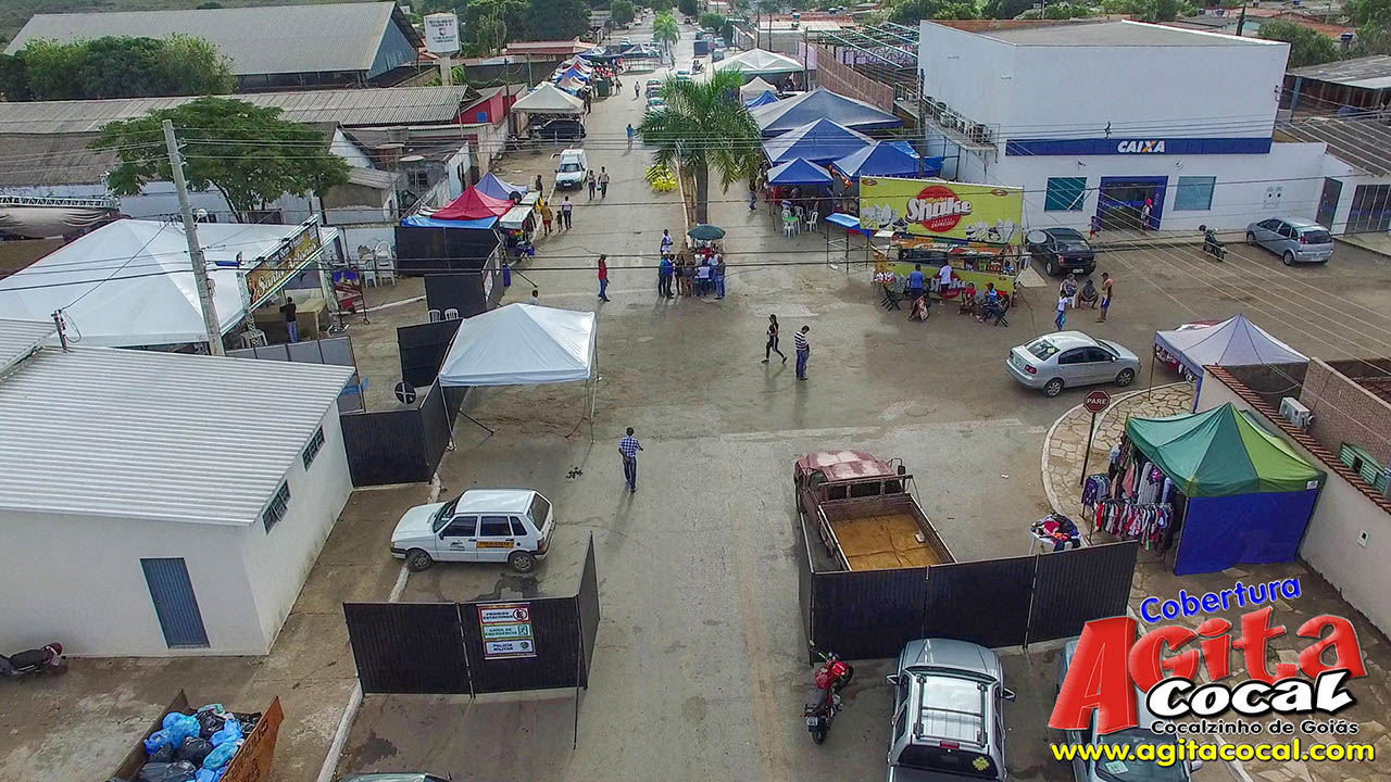 Almo�o e Leil�o de Animais - Festa de Santo Ant�nio (8� Dia)