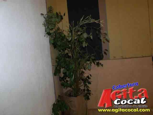 Concep��o de Maria at� o Nascimento de Jesus