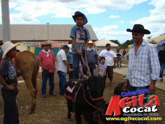 Cavalgada (23� Anivers�rio de Cocalzinho)