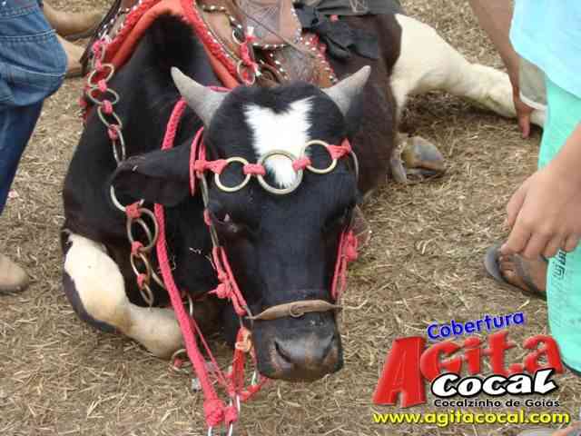 Cavalgada (23� Anivers�rio de Cocalzinho)