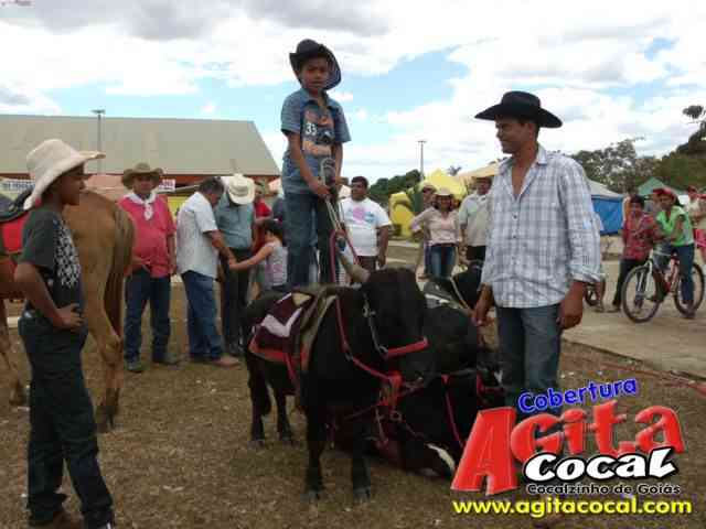 Cavalgada (23� Anivers�rio de Cocalzinho)